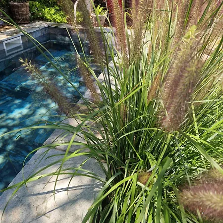 Casa Olmu With Its Private Swimming Pool And Garden Semesterbostad *