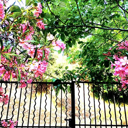 Casa Olmu With Its Private Swimming Pool And Garden Semesterbostad