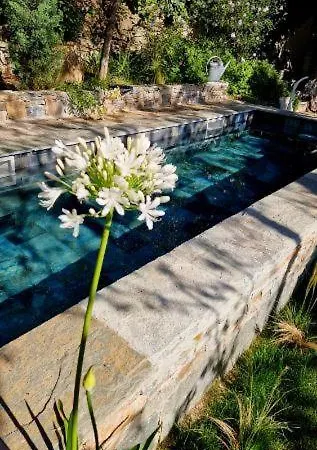 Casa Olmu With Its Private Swimming Pool And Garden Semesterbostad *